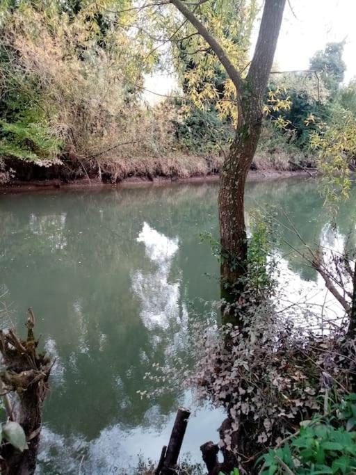 Вілла Le Mangoustan Kreol Opale Attin Екстер'єр фото